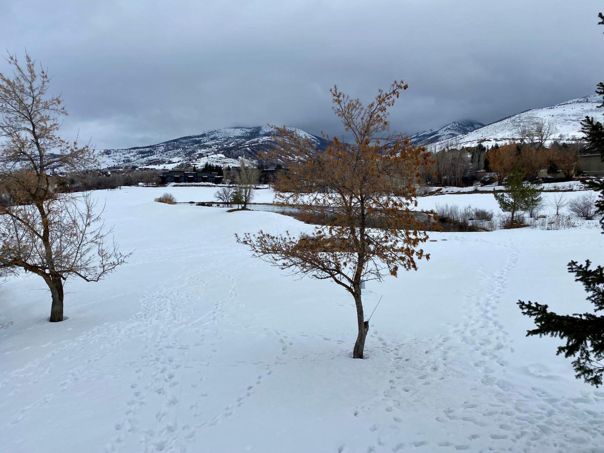 Wolf Creek Lodge Condo In Eden, Ut - Relaxing Mountain Retreat מראה חיצוני תמונה