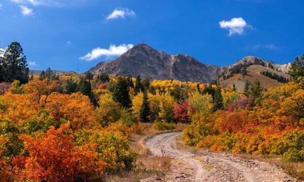 Wolf Creek Lodge Condo In Eden, Ut - Relaxing Mountain Retreat מראה חיצוני תמונה